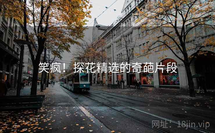 笑疯!探花精选的奇葩片段