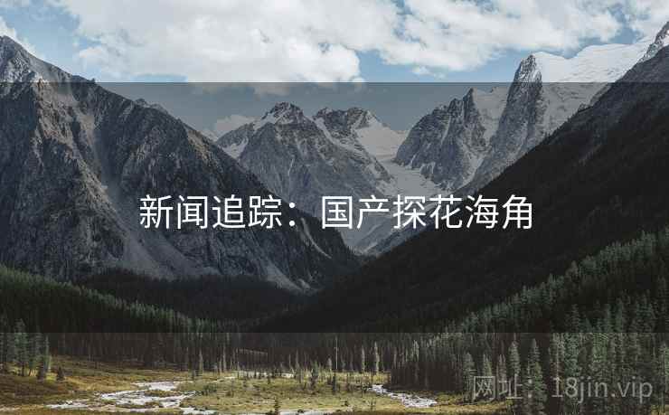 新闻追踪:国产探花海角