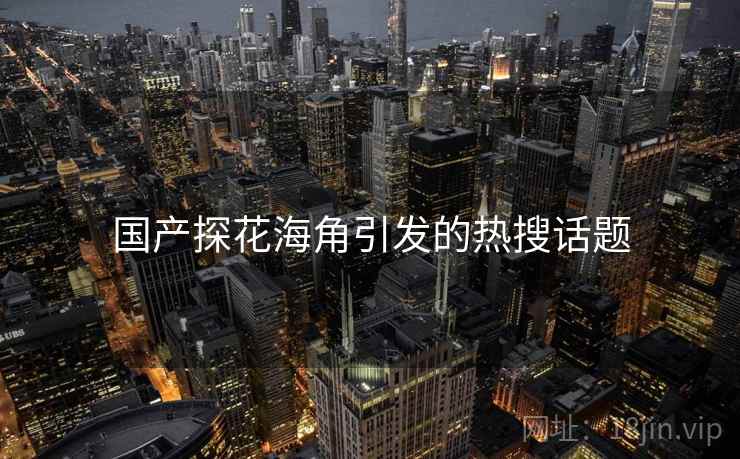 国产探花海角引发的热搜话题