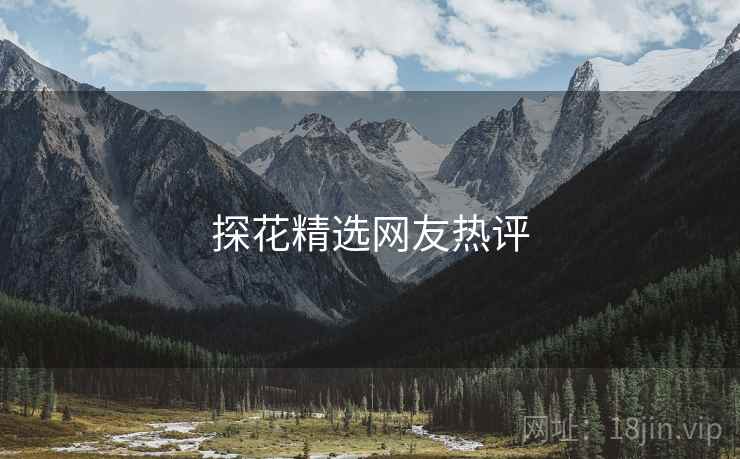探花精选网友热评