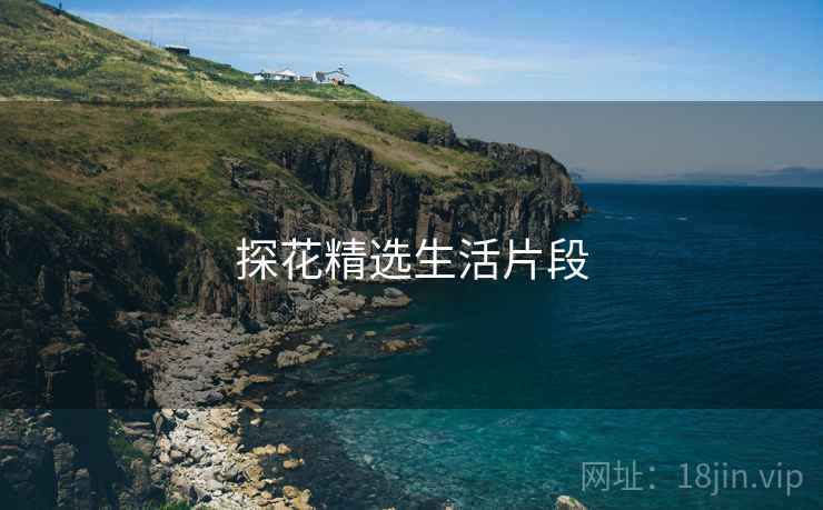 探花精选生活片段
