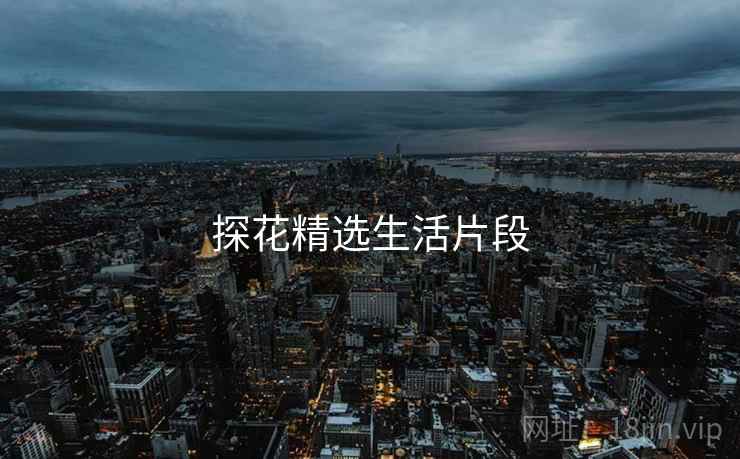 探花精选生活片段