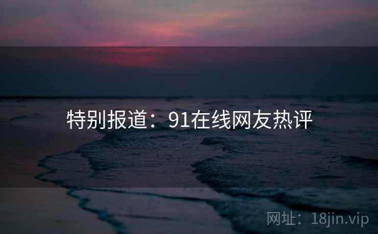 特别报道:91在线网友热评