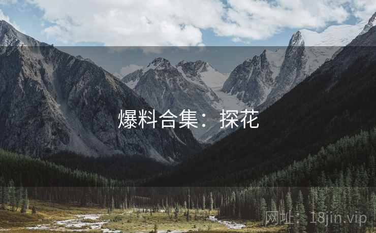爆料合集:探花