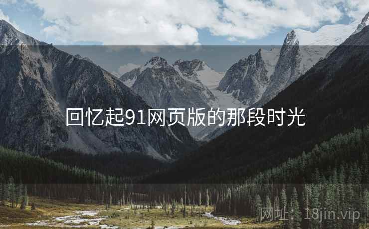 回忆起91网页版的那段时光
