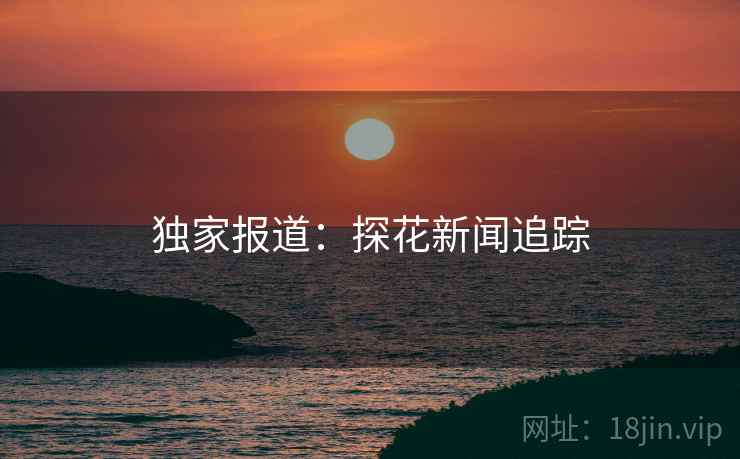 独家报道:探花新闻追踪