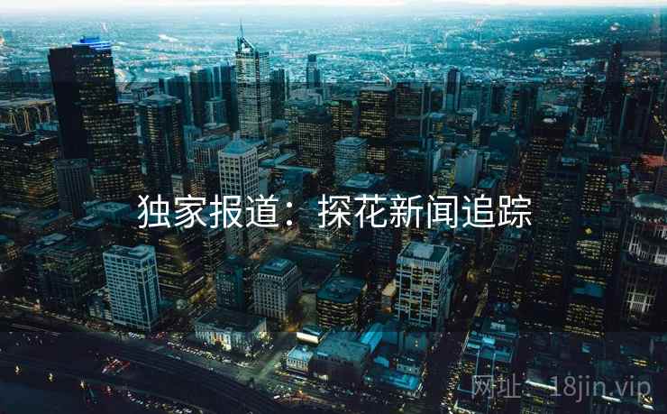独家报道:探花新闻追踪