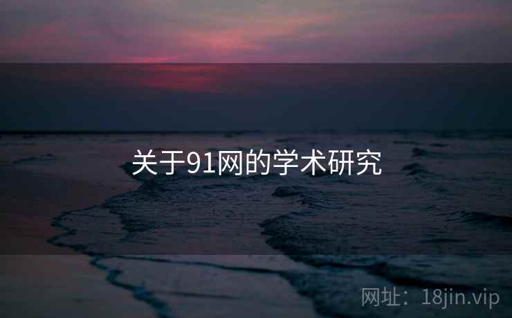 关于91网的学术研究
