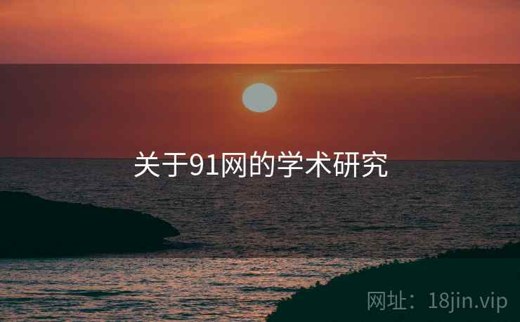 关于91网的学术研究