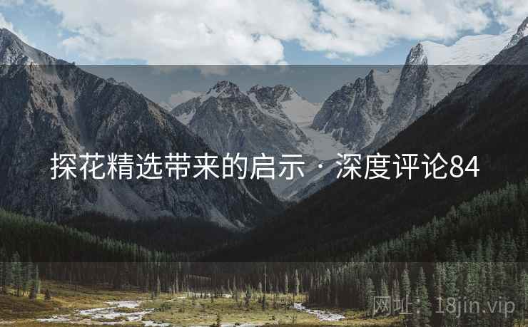 探花精选带来的启示 · 深度评论84