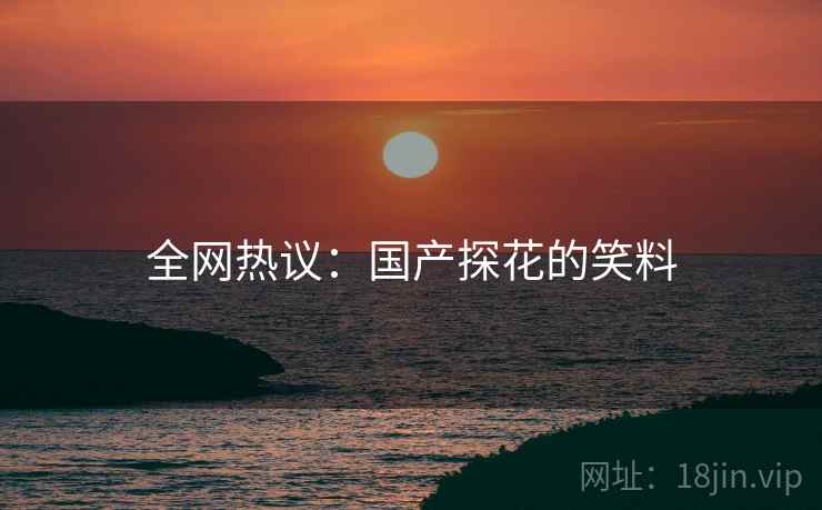 全网热议:国产探花的笑料