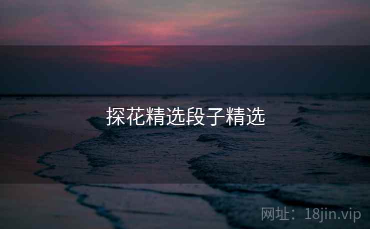 探花精选段子精选