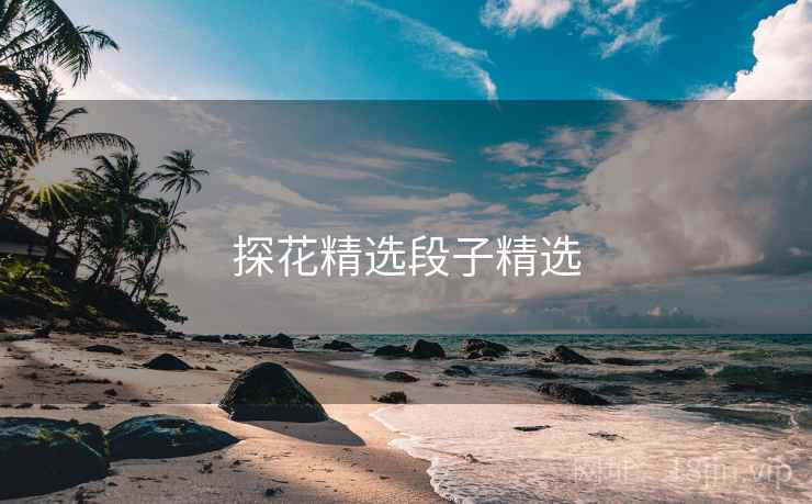 探花精选段子精选