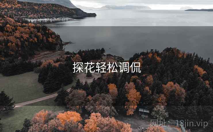 探花轻松调侃