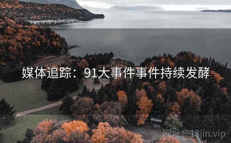 媒体追踪:91大事件事件持续发酵