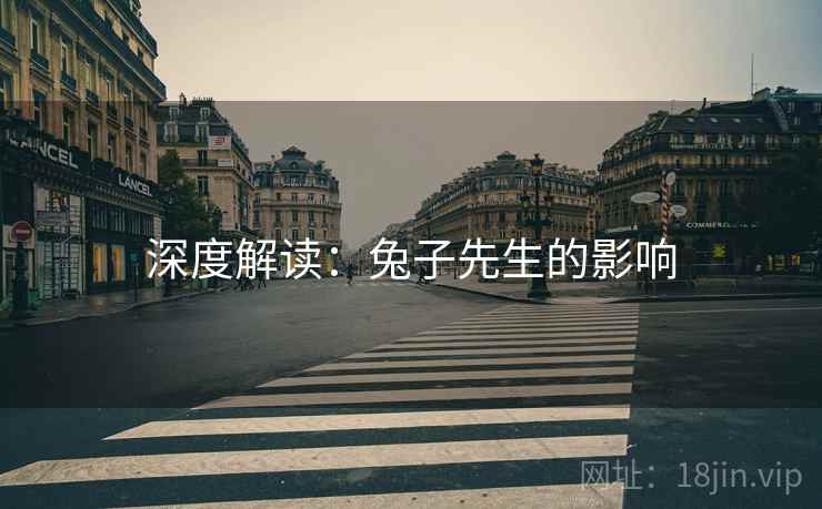 深度解读:兔子先生的影响