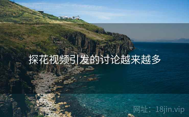 探花视频引发的讨论越来越多