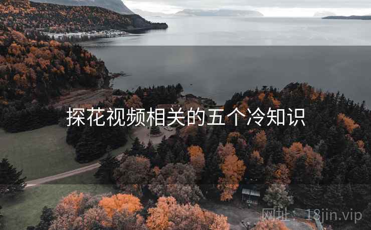 探花视频相关的五个冷知识