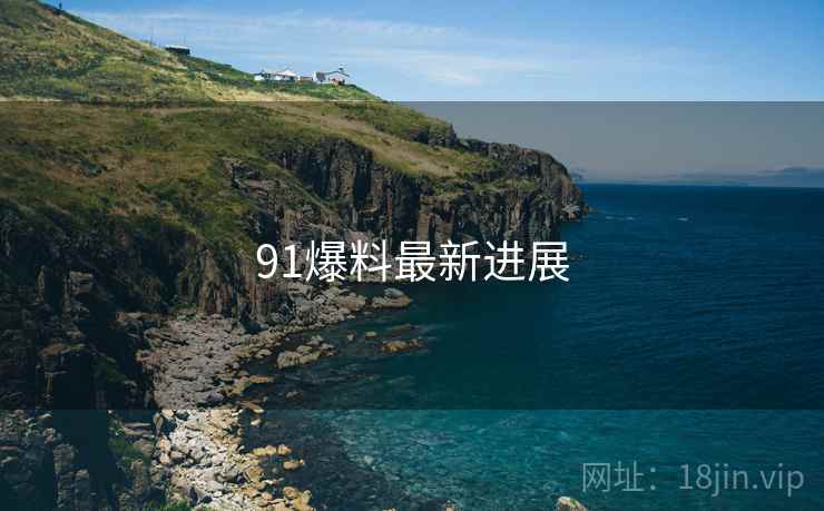 91爆料最新进展