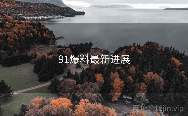 91爆料最新进展