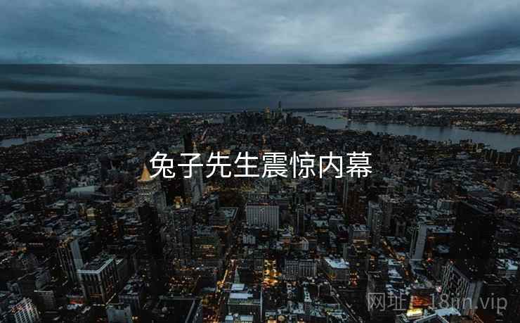 兔子先生震惊内幕