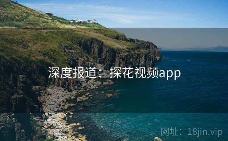 深度报道:探花视频app