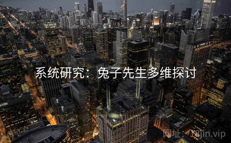 系统研究:兔子先生多维探讨