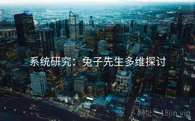 系统研究:兔子先生多维探讨